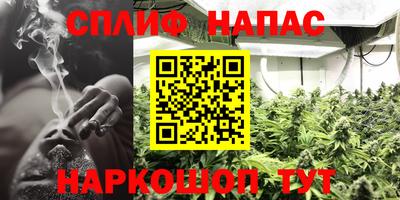 твердый Кингисепп