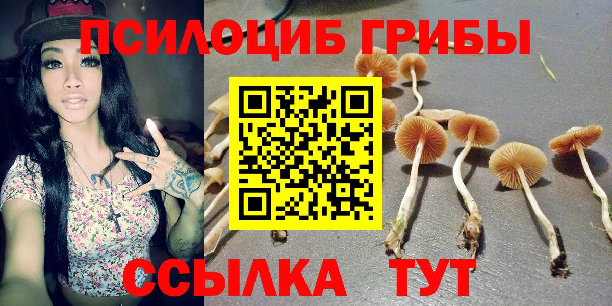 Галлюциногенные грибы Magic Shrooms  Вход с VPN  Галлюциногенные грибы Psilocybe  купить наркотик  Углич 